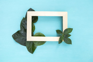 Green leaf over wooden frame on blue background