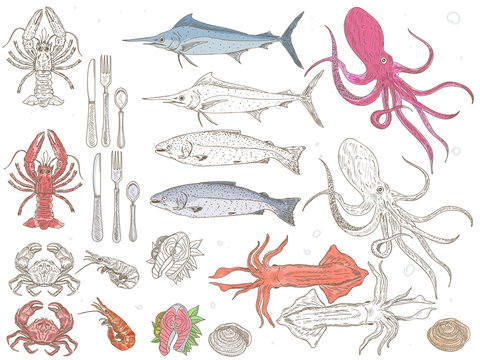 Seafood Collection. Vector hand drawn illustration with seafood. Sketch.