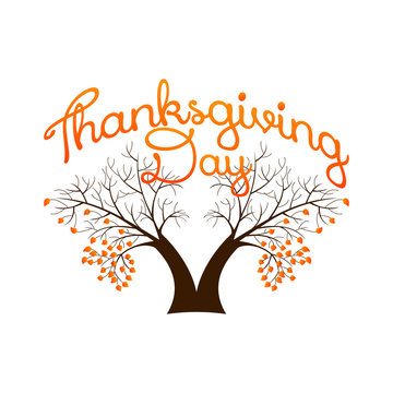 thanksgiving backgrounds. vector