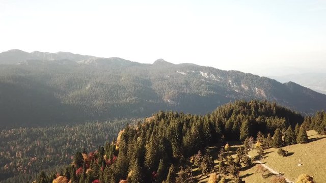 Vol en dessus des sapins du Chamant Som en Chartreuse