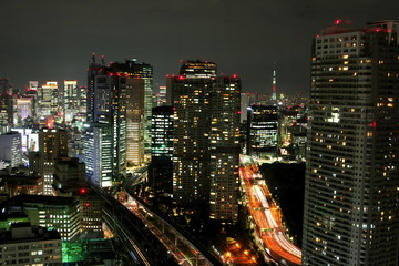 Obraz na płótnie Canvas Tokyo Night View