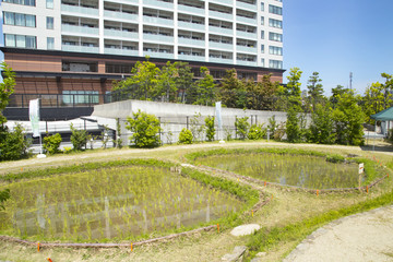 Obraz premium 目黒天空庭園 おおはし里の杜