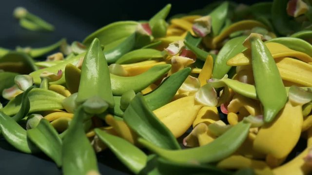 Heap petal of Ylang-Ylang flower on black background