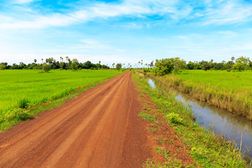 Fototapeta na wymiar Dirt Road and Green Rice Fields under Blue Sky Make a Very Beautiful Landscape