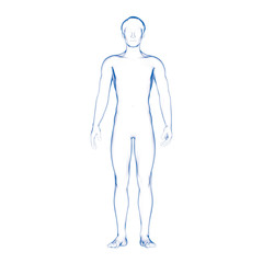 Male Body Shape