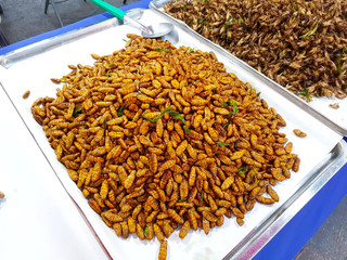 Fried insects crispy silk worm sold in street market, Thailand