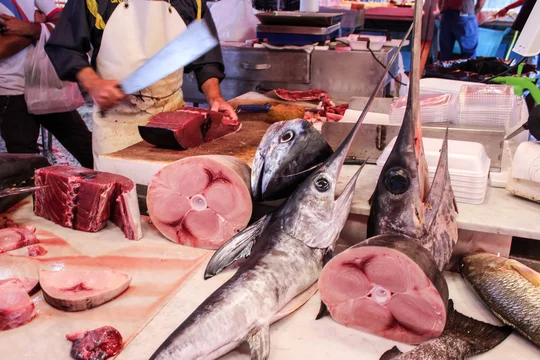 Fish Market Catania Sicile Stock Photo Adobe Stock
