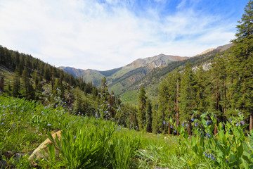 Obraz premium Mineral King