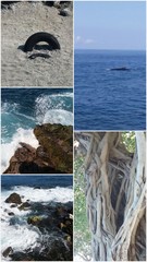 Beauté de la nature 