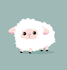 cute sheep