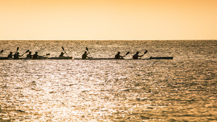 Ocean kayak paddlers paddle their surfskis in the early morning light.