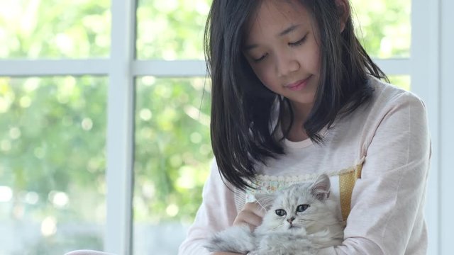 Cute asian girl hugging and holding kitten 