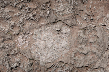 texture of the stone wall of the castle