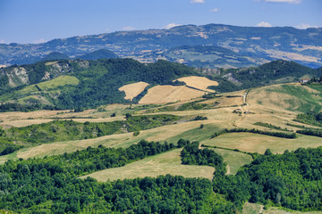 Landscape in Romagna at summer from Sogliano al Rubicone