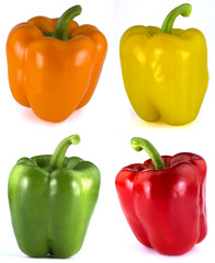 Bulgarian pepper isolated on white background