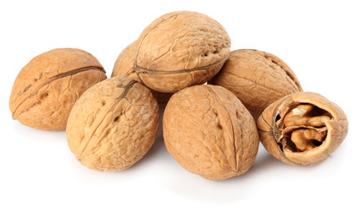 Walnuts isolated on a white background. close up
