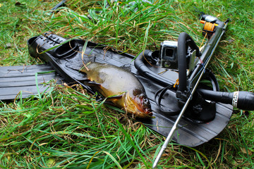 Obraz premium Equipment for spearfishing and caught fish on the grass