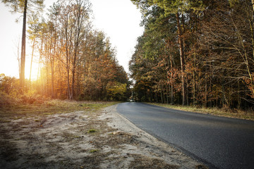 Fototapeta premium autumn road 