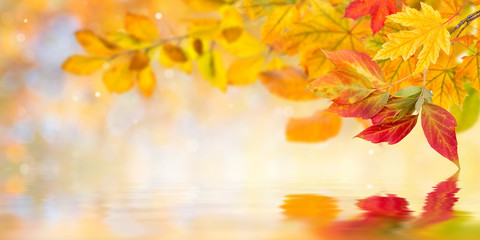 Fototapeta na wymiar Autumn leaves reflection in water