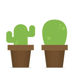 Flat vector cactus in pot set