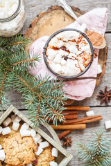 Hot Christmas cacao with marshmallow