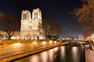 Fototapeta na wymiar Island Cite with cathedral Notre Dame de Paris