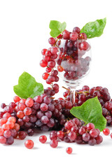 Champagne Grapes in wine glass isolated