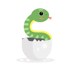 Cute newborn green snake character, funny reptile in egg cartoon vector Illustration