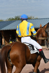 trot monté