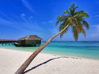 Paradise of Maldives