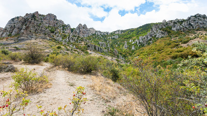 Fototapeta na wymiar weathered rocks in The Valley of Ghosts in Crimea