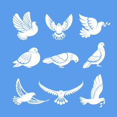 Pigeons or white dove birds flying wings vector flat isolated icons