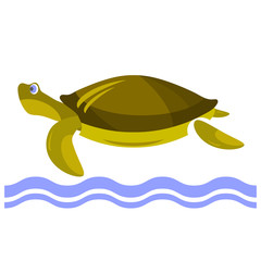 Cartoon Turtle Icon