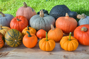 Various pumpkins and squashes