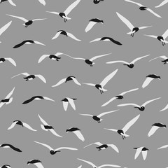 Seamless of gull on grey background.