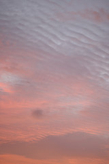 雲