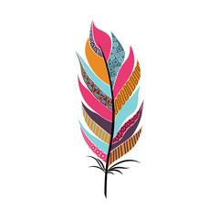 large fluffy feather with patterns