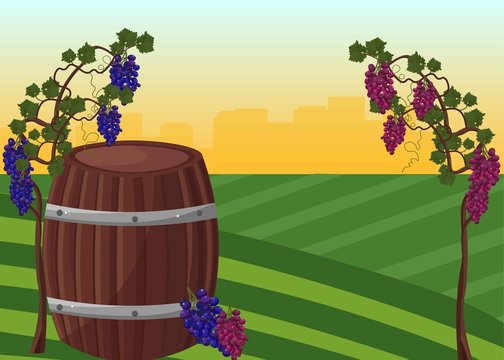 Wine barrel and grapes Vector background