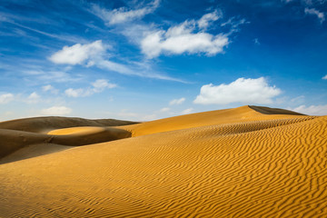 Fototapeta na wymiar Dunes of Thar Desert, Rajasthan, India