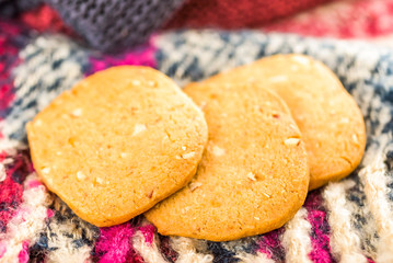 Home baked almond cookies on colorful picnic blanket.