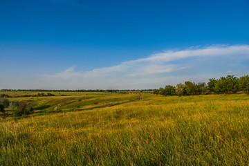 Fototapeta na wymiar Ukrainian steppe near the town of Polohy