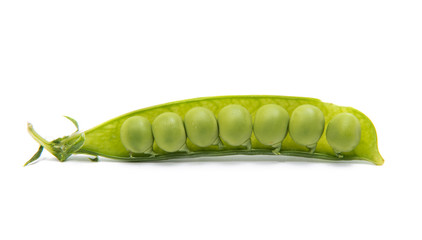 green fresh peas