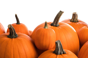 Many orange pumpkins