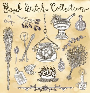 Collection with witch objects for Halloween design - pot, herbs, broomstick