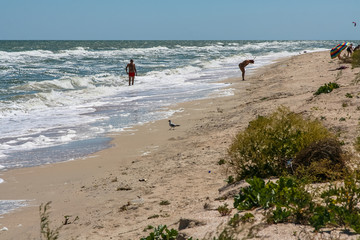 The coast of the Sea of Azov on the Fedotova spit