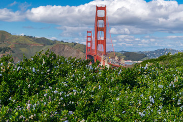 Golden Gate Park and Golden Gate Bridge, San Francisco, California, USA