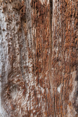 rough wood texture