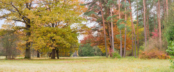 Fragment of the autumn park with deciduous and conifers trees