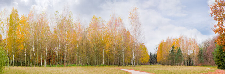 Glade in autumn park with birches in the background