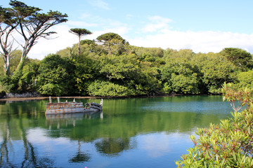 Wild Atlantic , West Cork Ireland